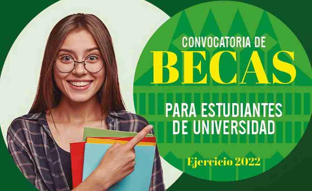 becas y ayudas