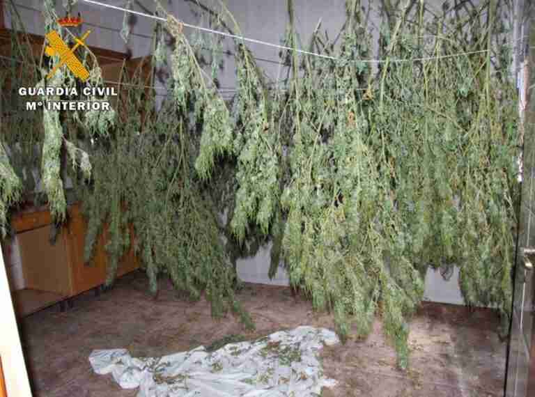 Dos detenidos por cuatro robos en establecimientos públicos y una caseta de jardinería en Villarrobledo