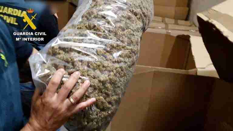 VÍDEO: La Guardia Civil incauta el mayor alijo de marihuana envasada encontrado hasta el momento