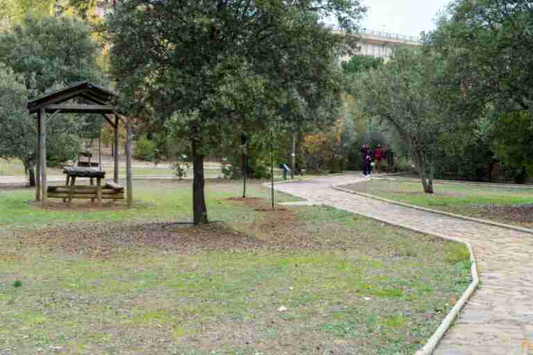 parque nacional cabaneros ciudad real