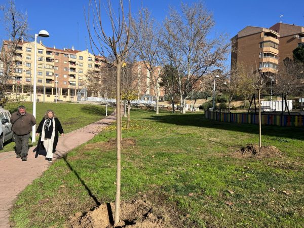 Plantaciones_Buenavista03