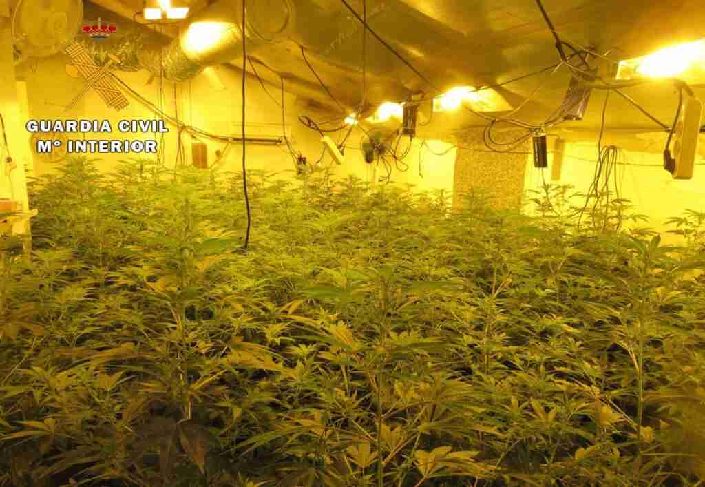 Detenidos en Tobarra por cultivar marihuana y defraudar cerca de 16.000 euros en fluido eléctrico