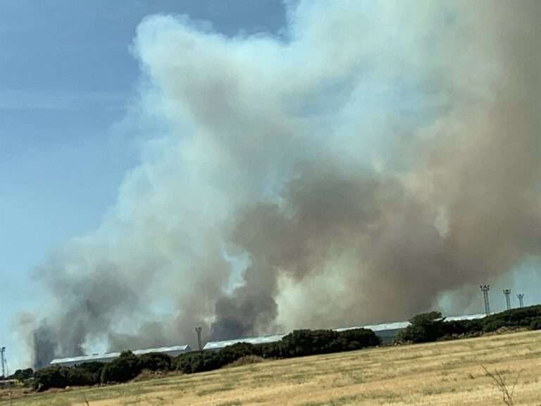 El Gobierno aprueba medidas para compensar daños personales por los incendios del verano en 15 CCAA, C-LM entre ellas