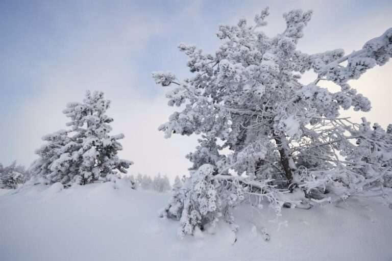 El invierno comienza este miércoles y terminará 88 días y 23 horas después, el 20 de marzo, cuando empiece primavera
