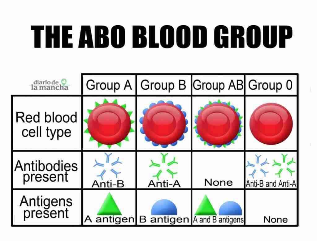 Cómo puedo saber mi grupo sanguineo 1