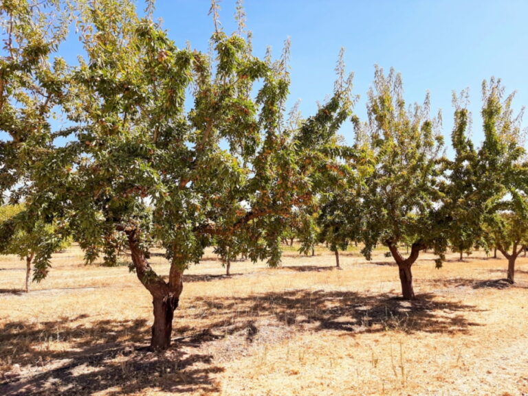 2 nuevos proyectos itap de la diputacion de albacete