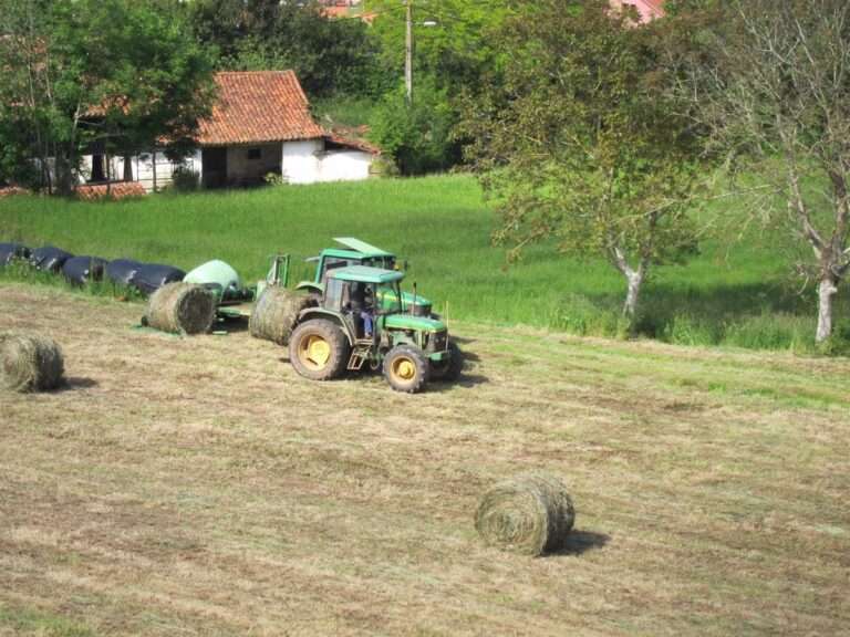 Climatología y altos costes de producción bajaron la rentabilidad de las explotaciones agrícolas en 2022, según Asaja