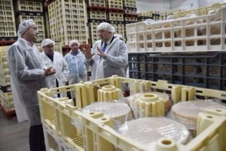 La exportación de queso manchego creció un 30 por ciento en 2022 superando los 170 millones de euros