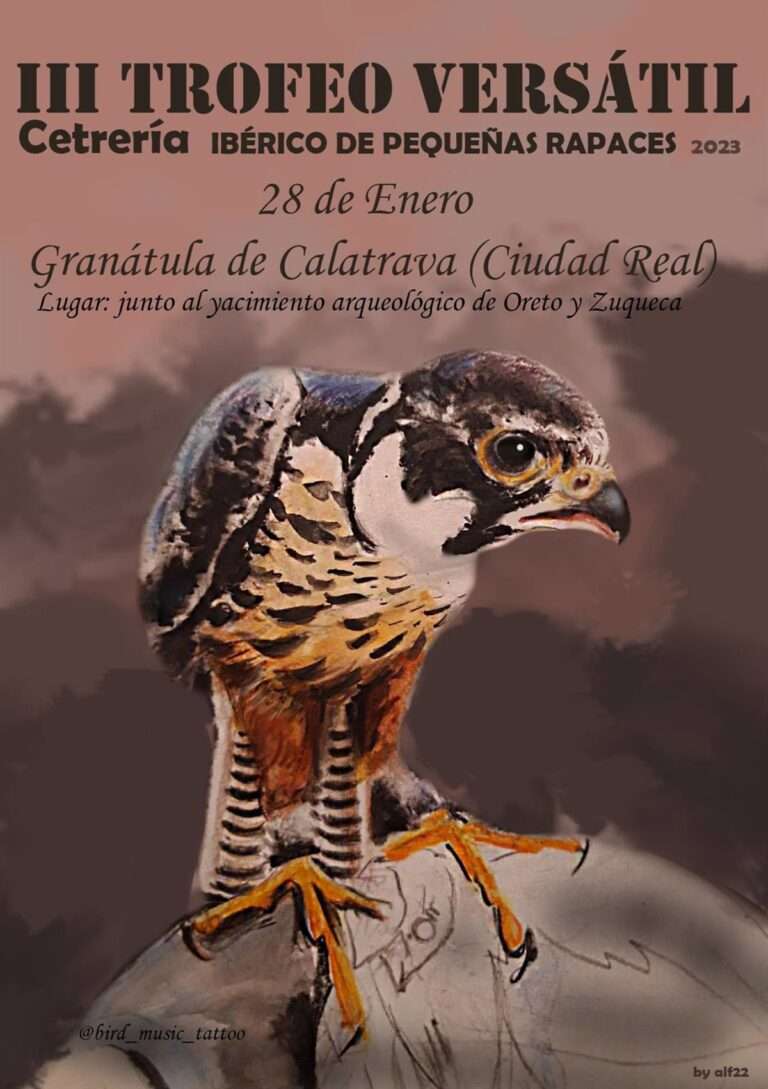Granátula de Calatrava acogerá el Tercer Trofeo Versátil de Cetrería de pequeñas rapaces