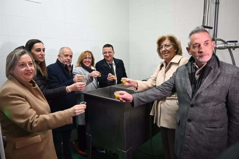 Unas 140.000 hectáreas de olivar de bajo rendimiento de C-LM podrán recibir una ayuda excepcional con la nueva PAC