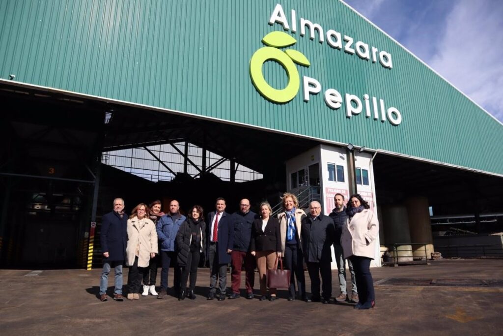 Castilla-La Mancha salva la campaña de aceite de oliva, afianzándose como segunda región productora de España