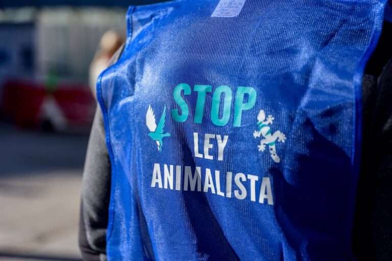 Cientos de personas se manifiestan en España por la inclusión de perros de caza en la ley de bienestar