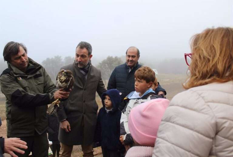 Liberan un ejemplar de busardo ratonero en el entorno de la ermita de San Isidro de Ballesteros de Calatrava
