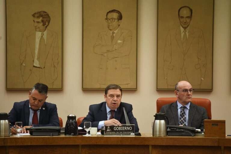 El Gobierno trabaja en un decreto para financiar la compra de nuevas cabezas de ganado en el marco de la viruela ovina