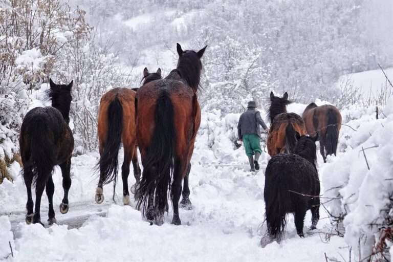 Frío intenso, lluvias y nieve en el último fin de semana de febrero, que se despide con los días más fríos del invierno