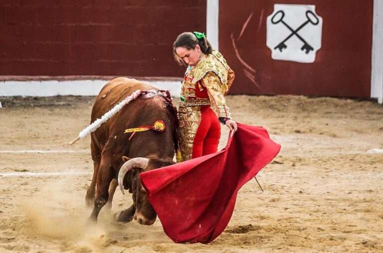 La feria de primavera vuelve en marzo a 'Las Cruces' de Guadalajara con un festival mixto y un concurso de recortadores