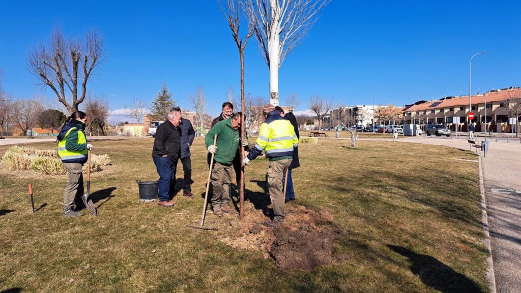 Ayuntamiento Cuenca planta 550 nuevos árboles en la ciudad y en parques y jardines