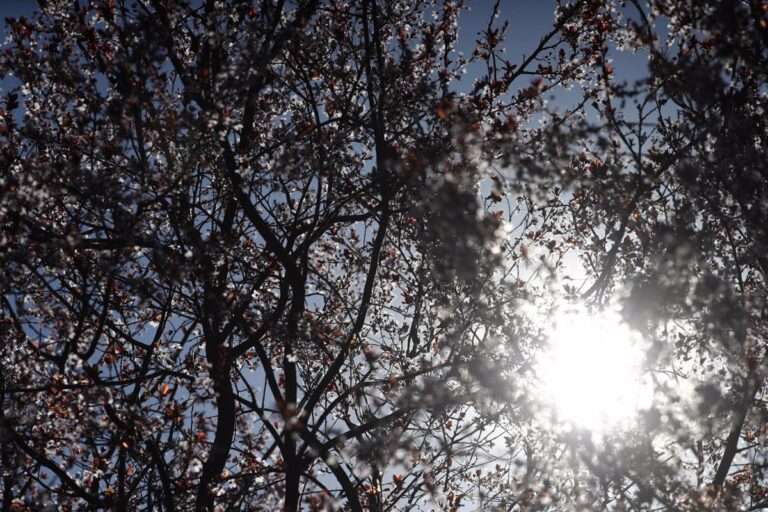 La primera semana de marzo se despide con un ascenso de temperaturas, de hasta 5ºC, y el domingo llega la lluvia
