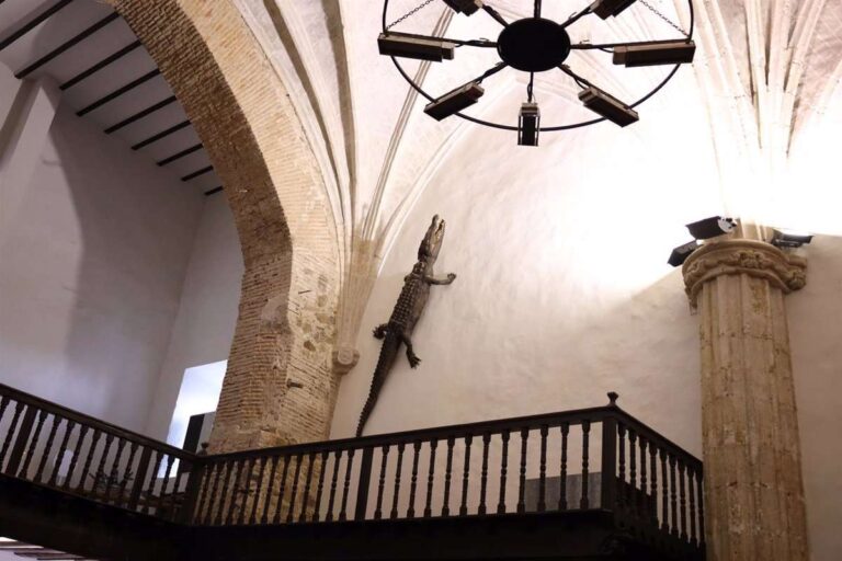 Del Nilo a Viso del Marqués, el cocodrilo de 4 metros que Álvaro de Bazán habría donado a la iglesia del pueblo