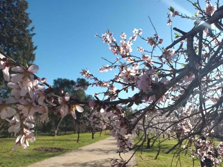 Las lluvias regarán esta semana la mitad norte y las temperaturas subirán el fin de semana a valores veraniegos de 30ºC
