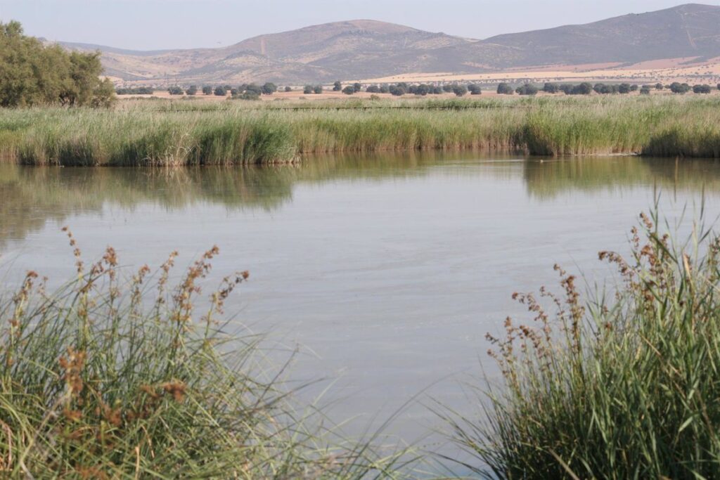 Ecologistas denuncian la "sobreexplotación de los acuíferos en C-LM, región donde más aumenta el regadío"