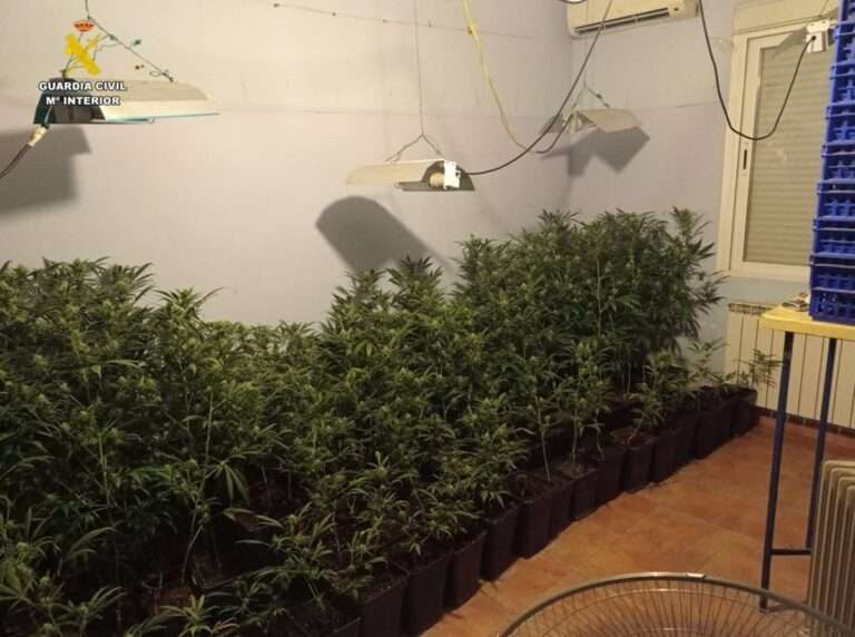 Cuatro detenidos en una operación antidroga en la localidad de Santa Cruz de Mudela