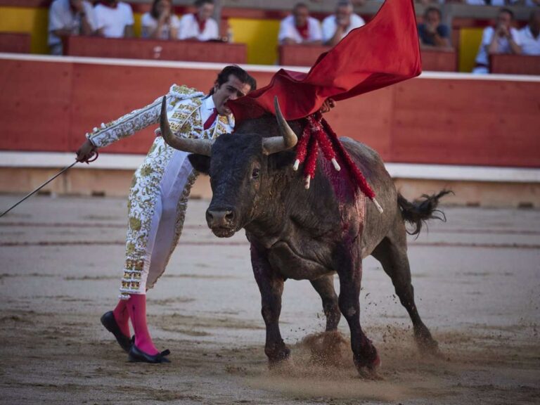Sáez propondrá un homenaje póstumo a los ganaderos Daniel Ruiz y Daniel Martínez por su contribución a la tauromaquia