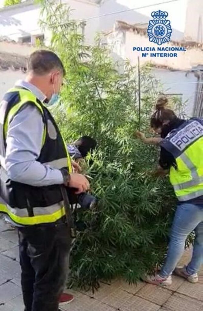 Seis detenidos tras caer 'telecoca', un punto que distribuía droga en bici o patinete eléctrico en Valdepeñas