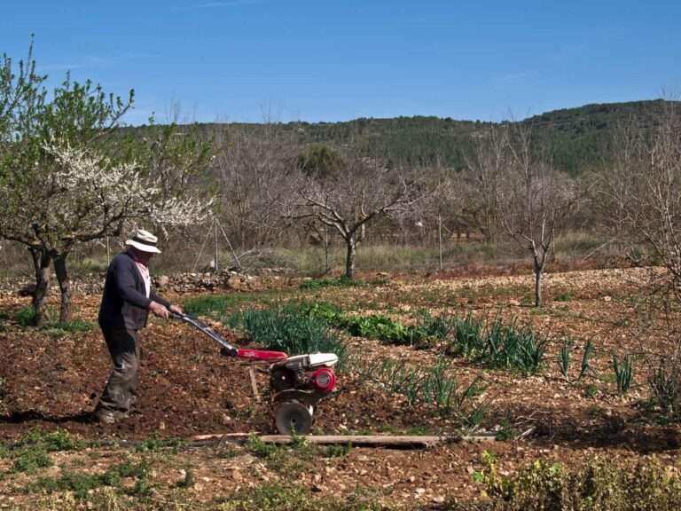 Unos 650.000 agricultores y ganaderos se beneficiarán de 4.875 millones de las ayudas de la PAC, que ya se pueden pedir