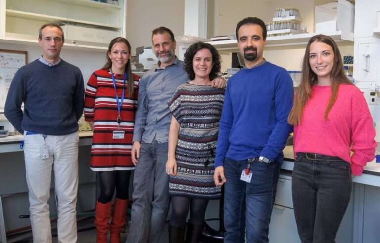 Identifican el potencial de la molécula XIAP para aumentar la supervivencia de las neuronas tras una lesión medular