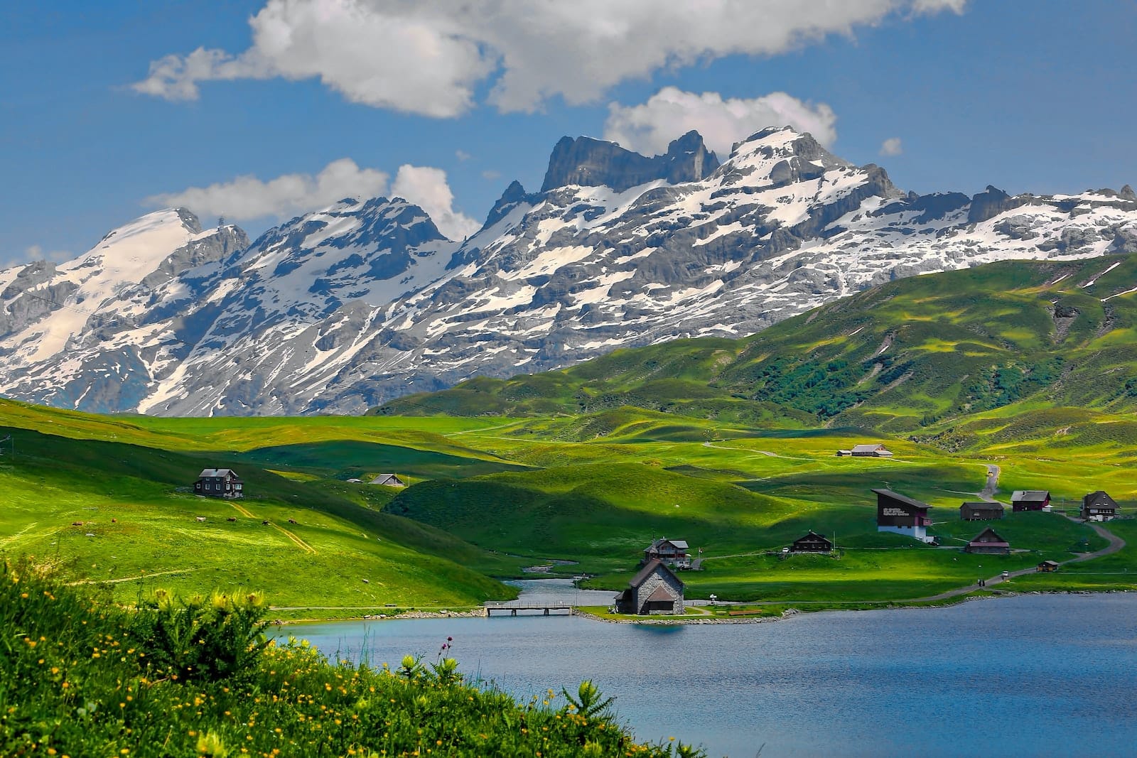 Che lingua si parla in Svizzera?