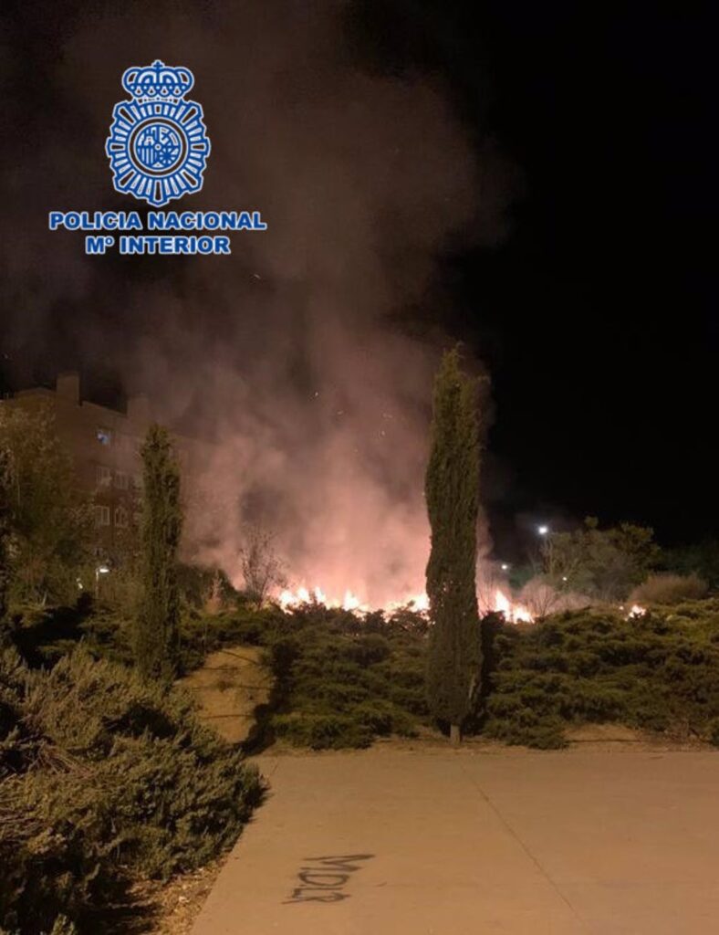 Sorprendidos cuatro menores quemando varios árboles en el toledano barrio de Santa María de Benquerencia