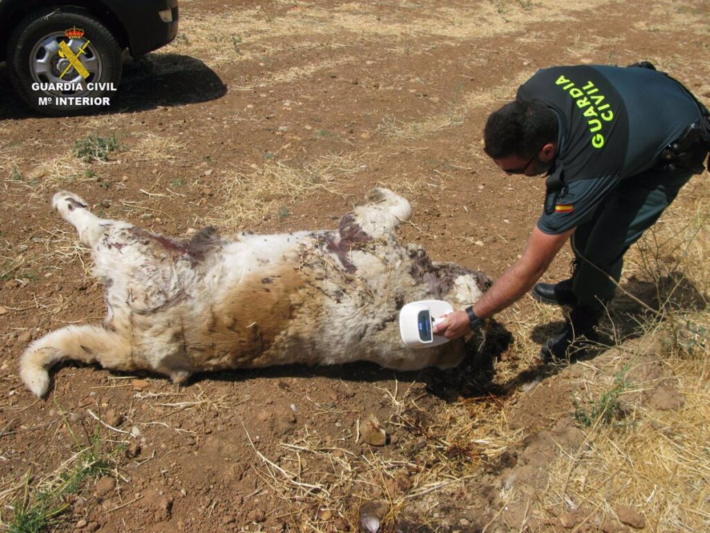 La Guardia Civil denuncia a una persona en El Casar (Guadalajara) por arrojar el cadáver de un perro a un camino