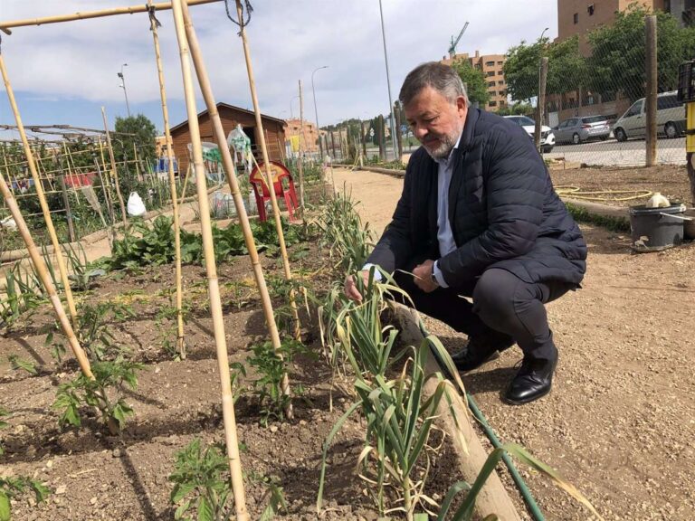 Dolz promoverá la construcción de huertos escolares en los colegios de la capital como recursos pedagógicos