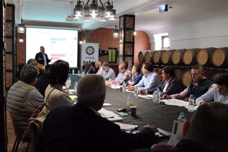 Las cooperativas vitivinícolas de C-LM prevén una cosecha de vendimia inferior a la anterior debido a la sequía