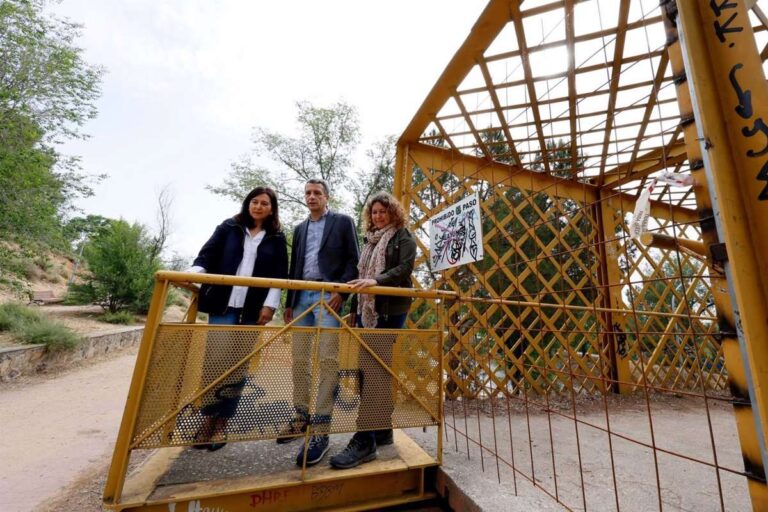 Paños propone corredores verdes y multiplicar el arbolado para reducir "el efecto isla de calor" en Toledo