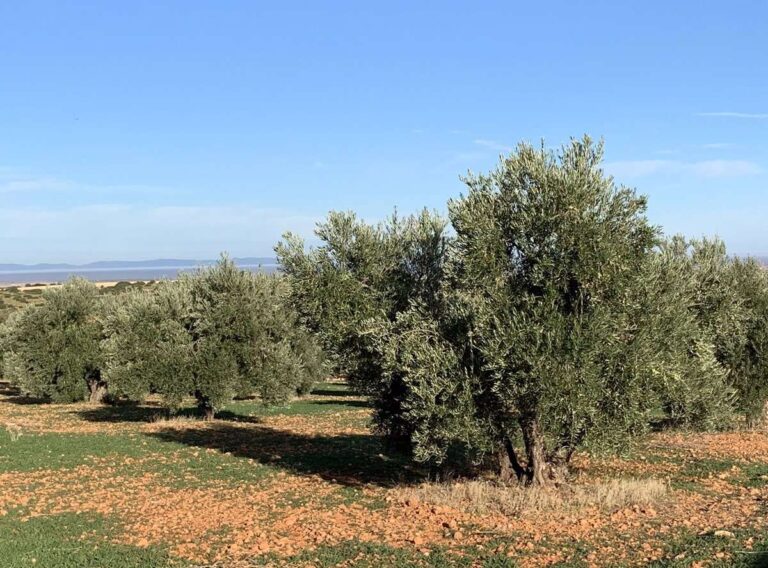 Desde este sábado se pueden pedir ayudas que mejoran la biodiversidad con acciones que repercuten en la Red Natura 2000