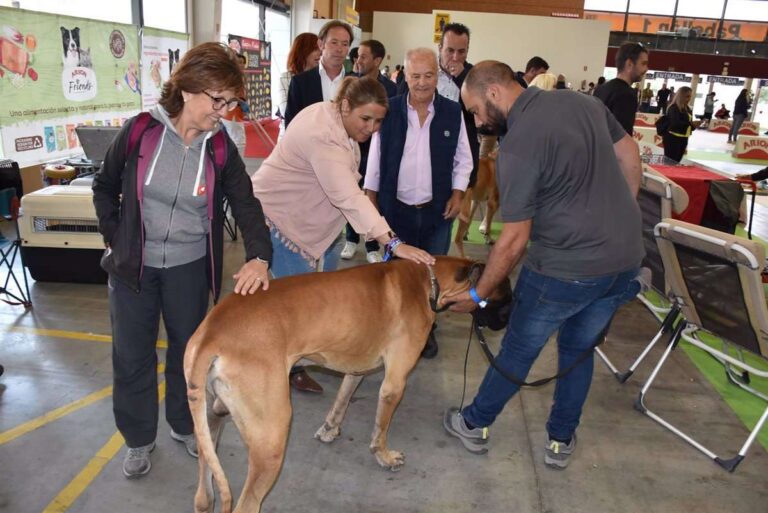 Tita García promete seguir impulsando en Talavera los eventos deportivos, culturales y feriales de alto nivel