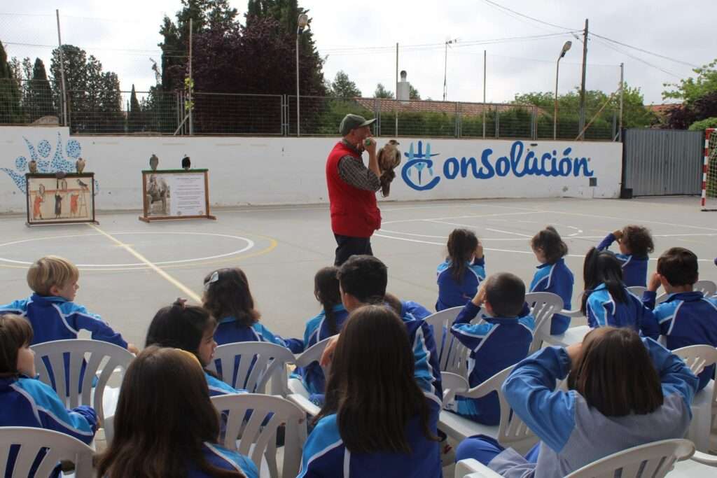 La cetrería como arte para los más peques 15