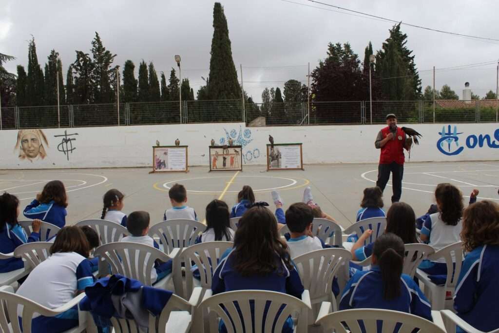 La cetrería como arte para los más peques 26