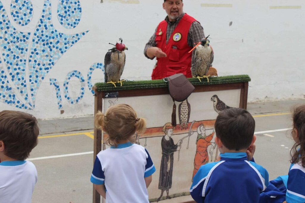 La cetrería como arte para los más peques 30