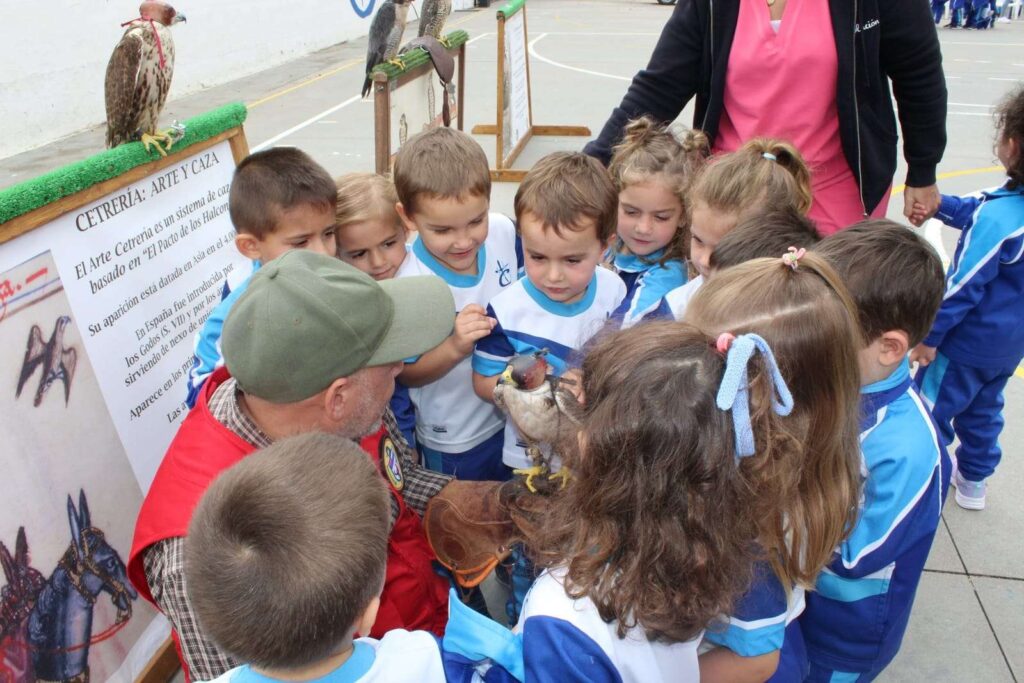 La cetrería como arte para los más peques 31