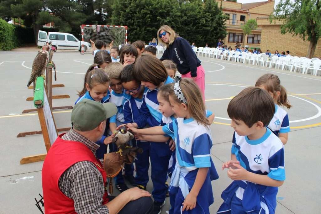 La cetrería como arte para los más peques 34