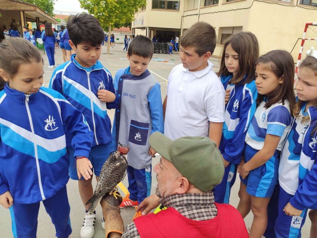 La cetrería como arte para los más peques 38