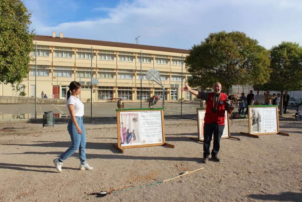 La cetrería como arte para los más peques 50