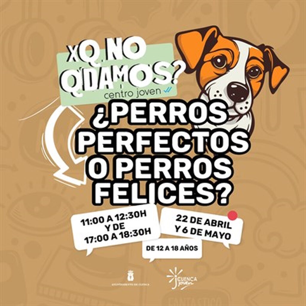 taller perros perfectos centro joven cuenca