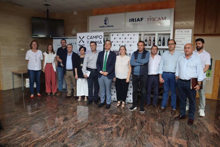 C-LM recibirá 43 millones de euros para reestructuración de viñedo, el 53% del total de los fondos a repartir en España