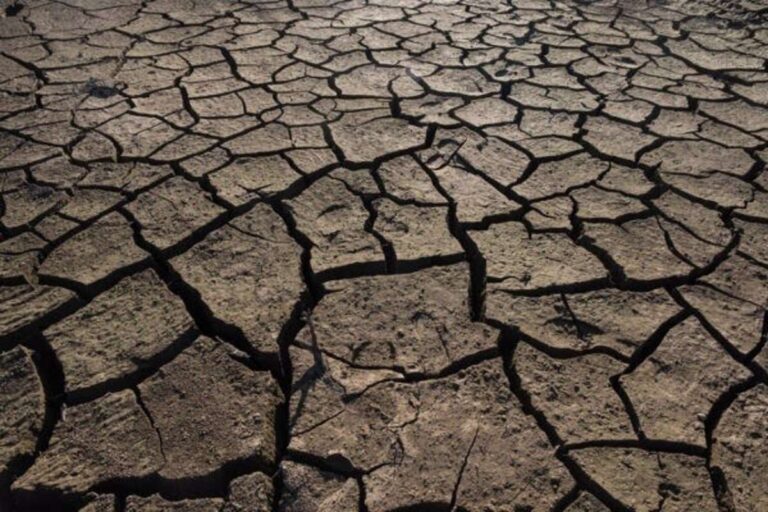 Greenpeace lamenta que C-LM sea la región con mayor porcentaje de regadíos, un 36% en términos relativos