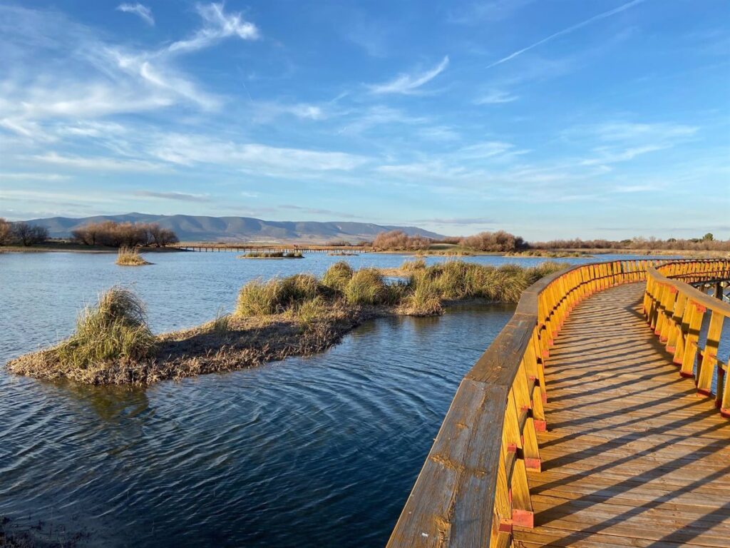 Organizaciones piden a Junta y Gobierno actuaciones para reducir extracciones para regadío en Tablas de Daimiel