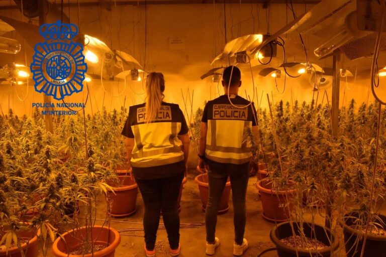 Tres detenidos tras la desmantelación de una plantación de marihuana en un polígono de Cabanillas del Campo